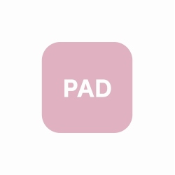 Obrázek Řada Xiaomi Pad