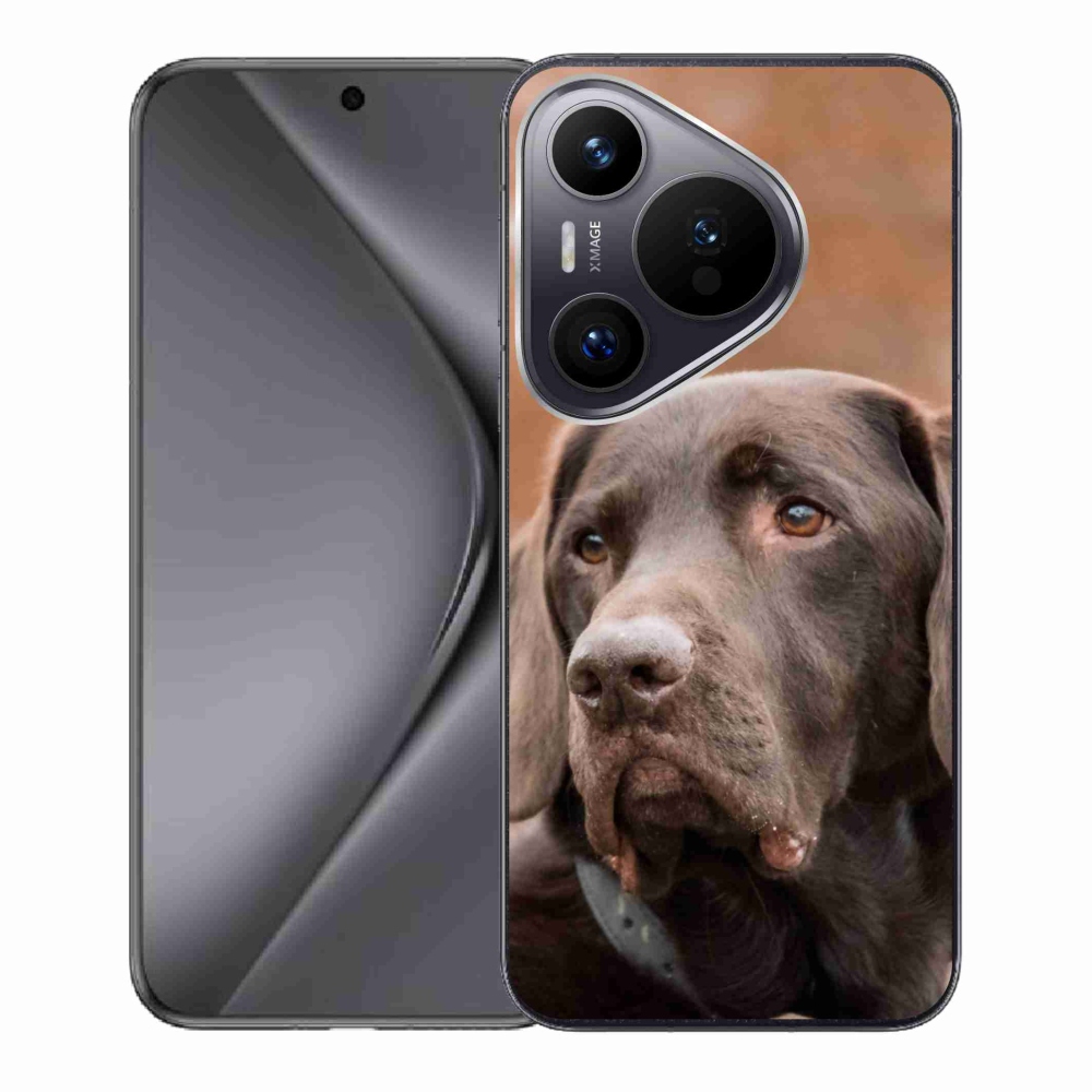 Gelový obal mmCase na Huawei Pura 70 - hnědý labrador