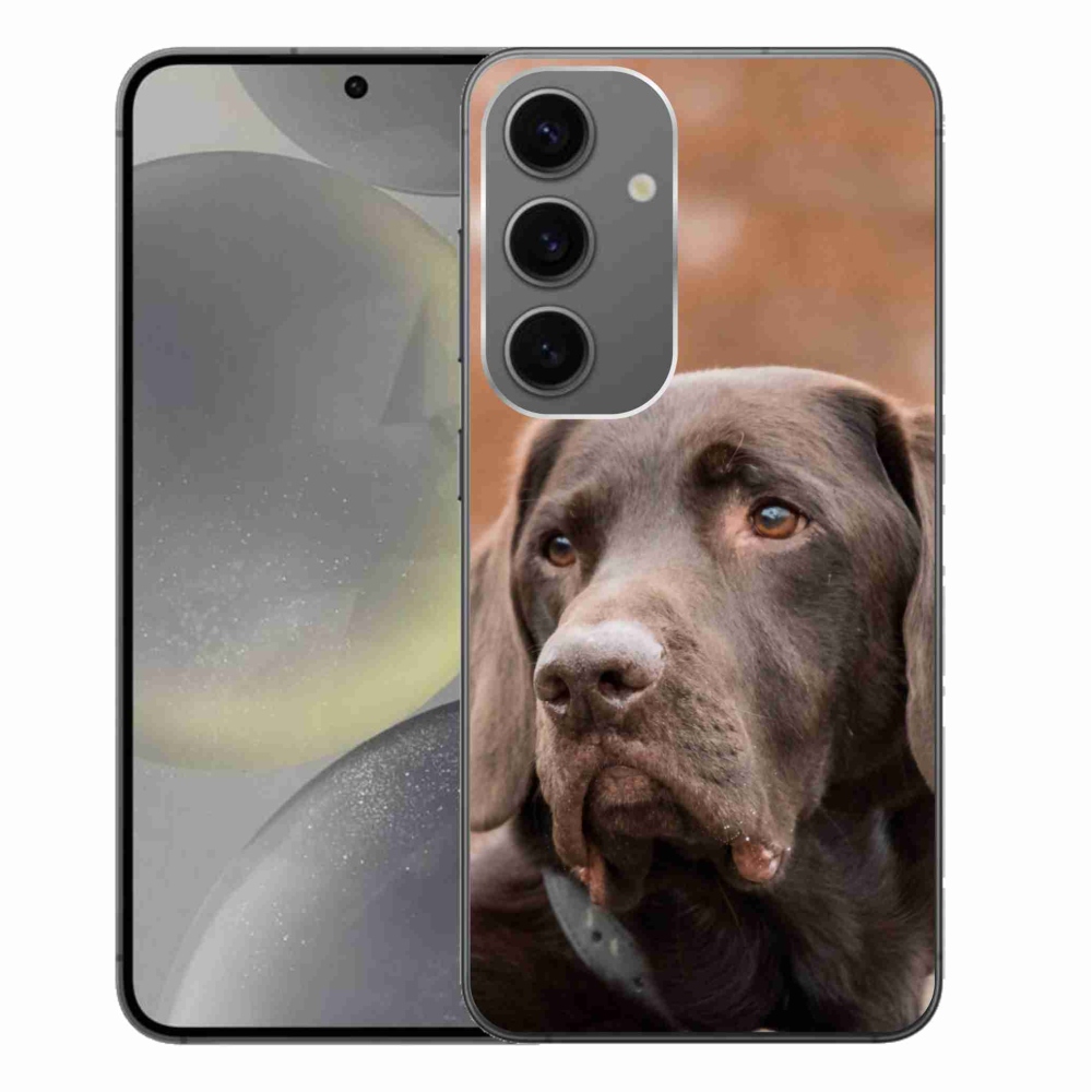 Gelový obal mmCase na Samsung Galaxy S24+ - hnědý labrador