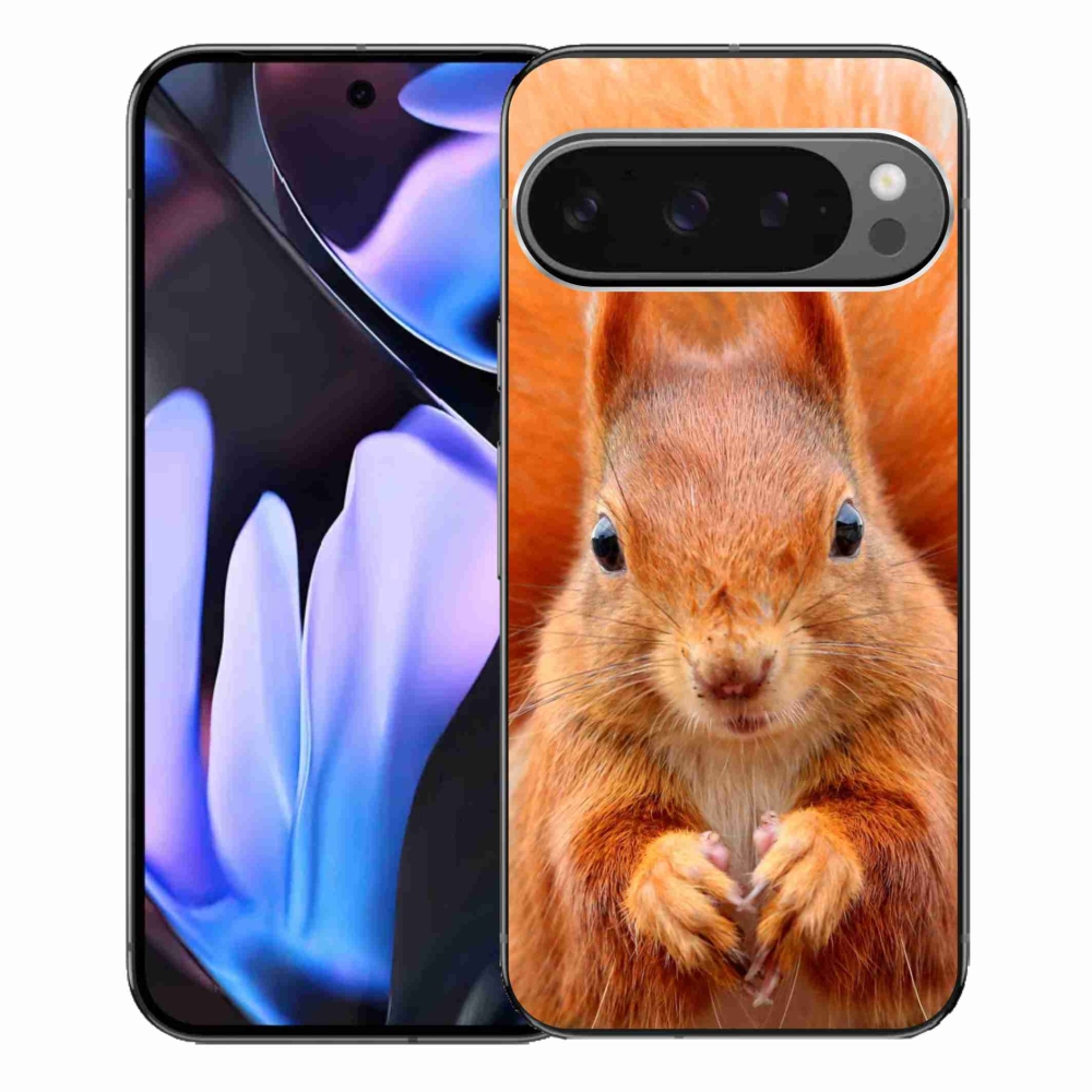 Gelový kryt mmCase na Google Pixel 9 Pro XL - veverka