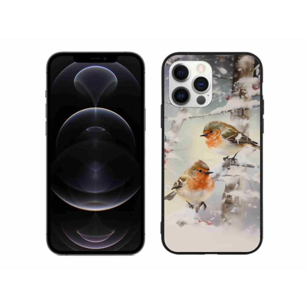 Gelový kryt mmCase na iPhone 12 Pro Max - ptáčci v zimě