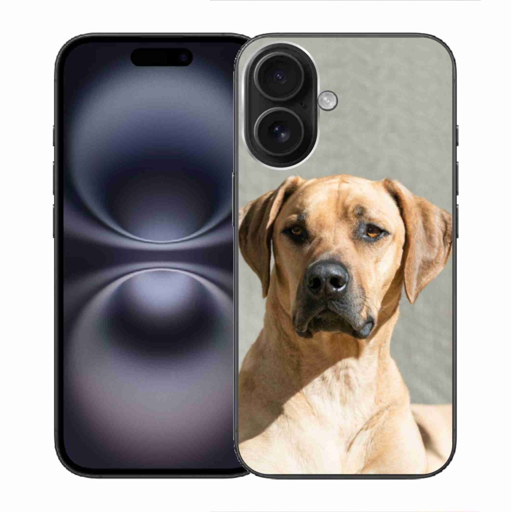 Gelový kryt mmCase na iPhone 16 - ridgeback