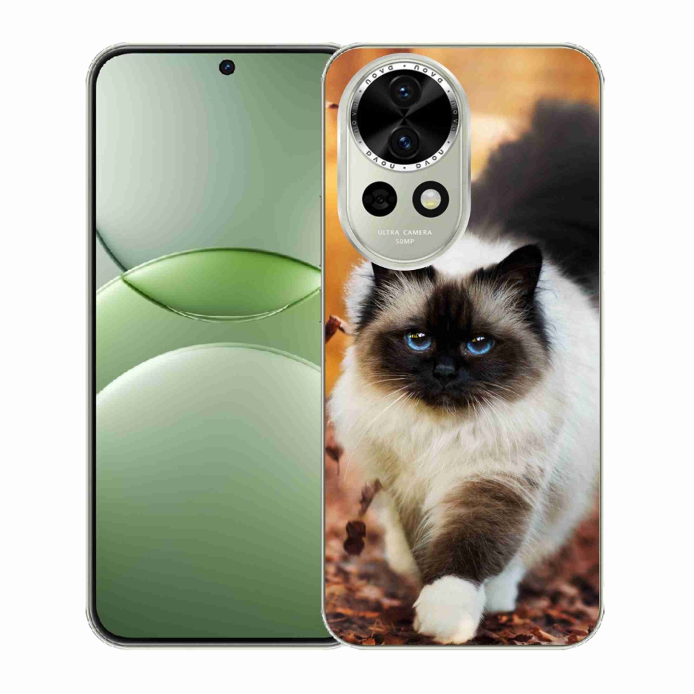 Gelový kryt mmCase na Huawei Nova 13 5G - kočka