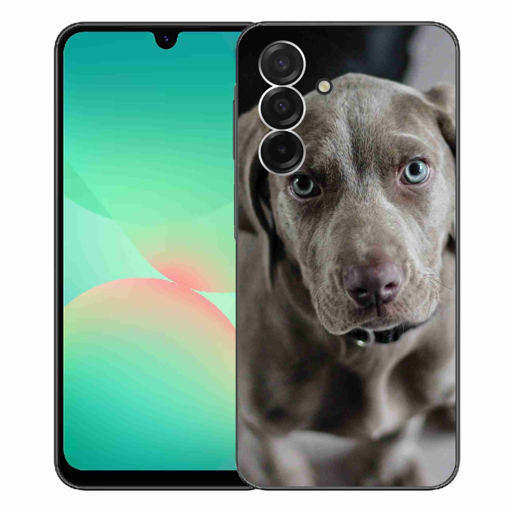 Gelový kryt mmCase na Samsung Galaxy A26 5G - výmarský ohař