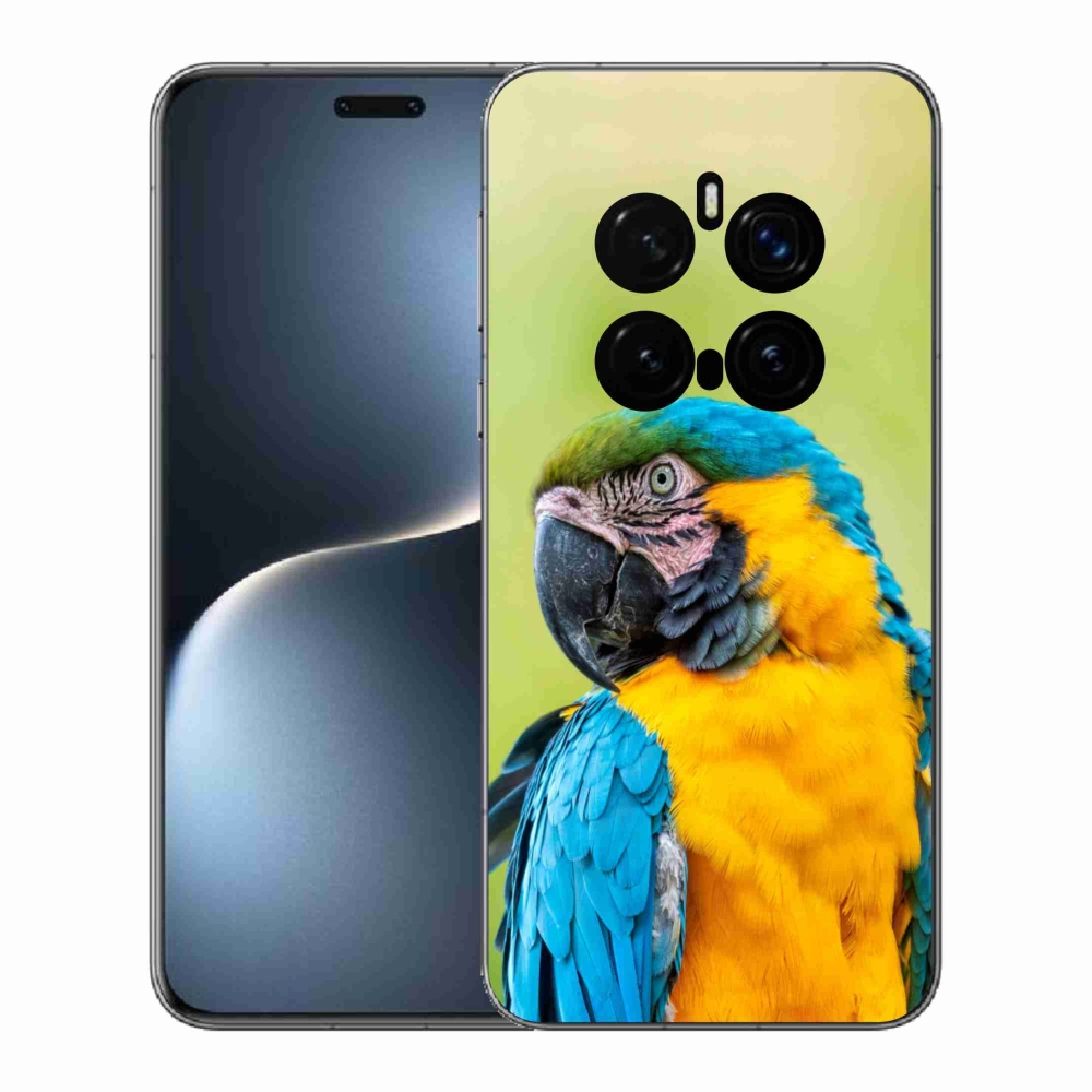 Gelový kryt mmCase na Honor Magic 7 Pro 5G - papoušek ara 2