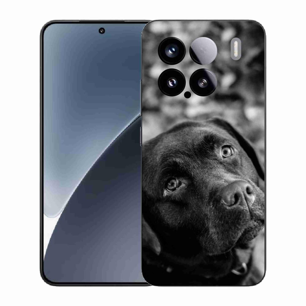 Gelový kryt mmCase na Xiaomi 15 - labrador
