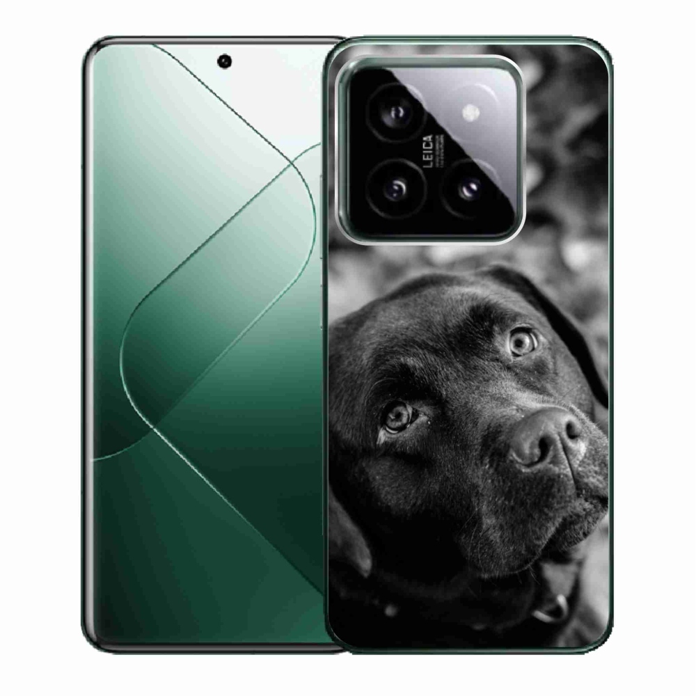 Gelový obal mmCase na Xiaomi 14 - labrador