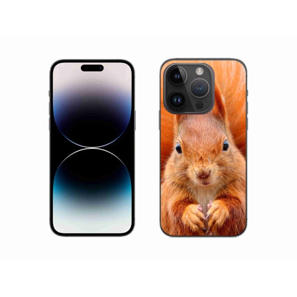 Gelový kryt mmCase na iPhone 14 Pro - veverka
