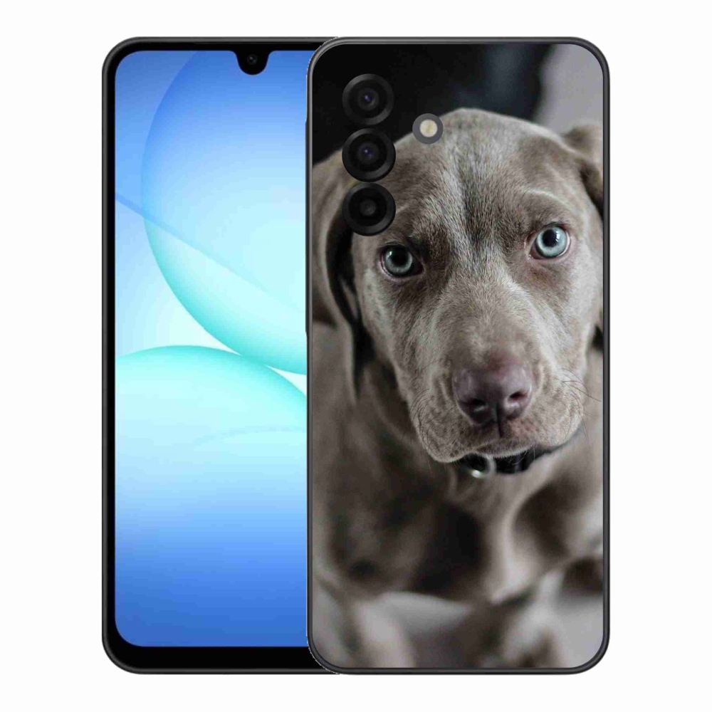 Gelový kryt mmCase na Samsung Galaxy A17 5G - výmarský ohař