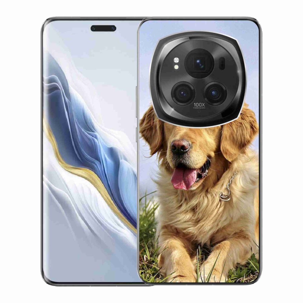 Gelový obal mmCase na Honor Magic 6 Pro 5G - zlatý retrívr