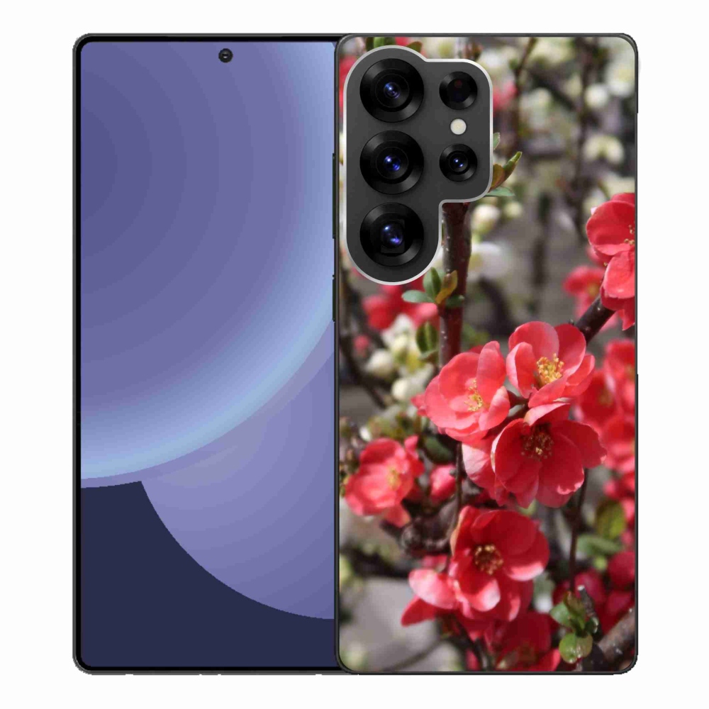 Gelový kryt mmCase na Samsung Galaxy S25 Ultra - červené květy