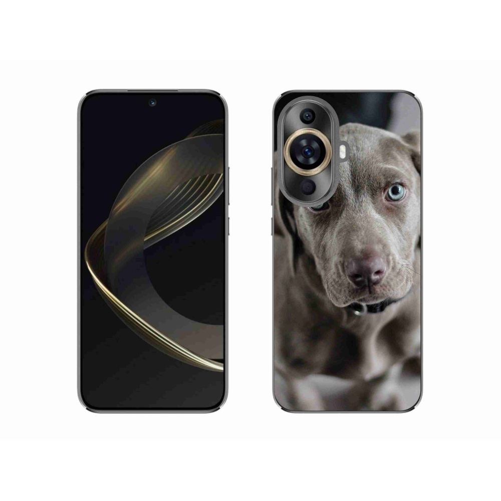 Gelový obal mmCase na Huawei Nova 11 - výmarský ohař