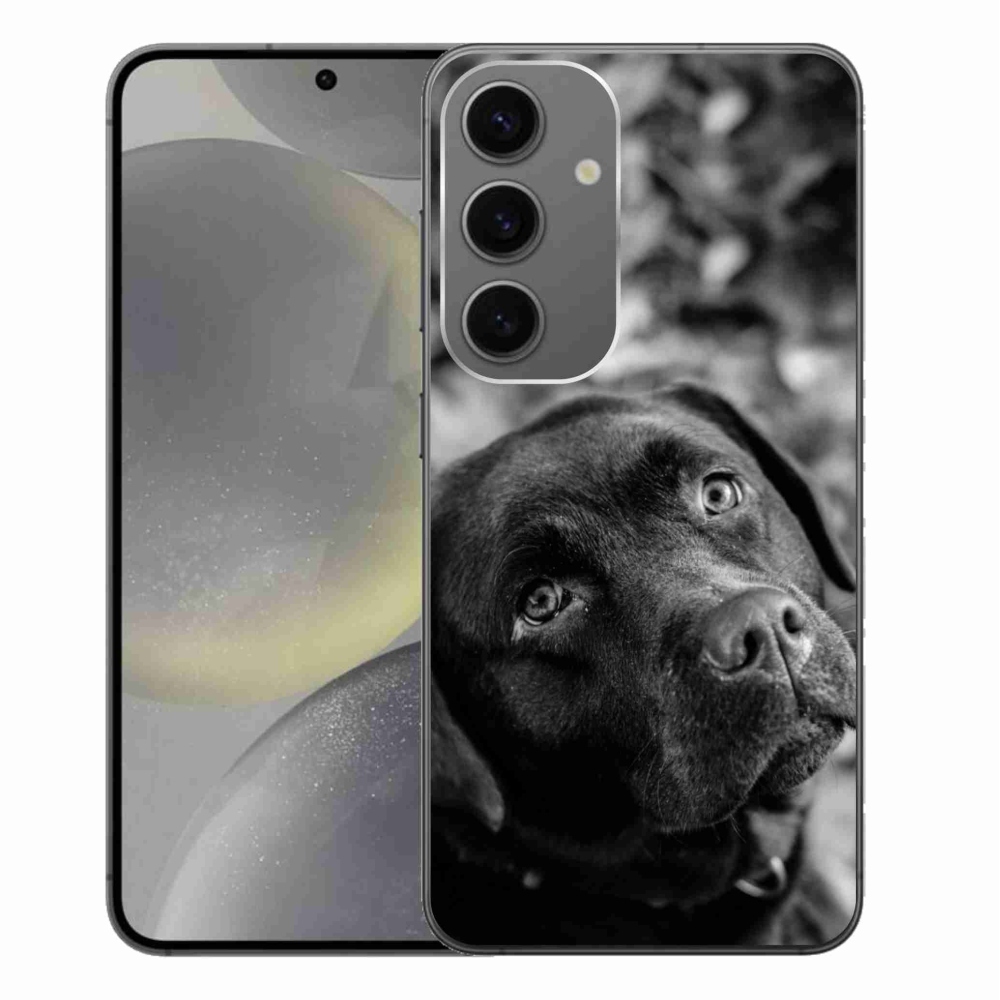Gelový obal mmCase na Samsung Galaxy S24+ - labrador