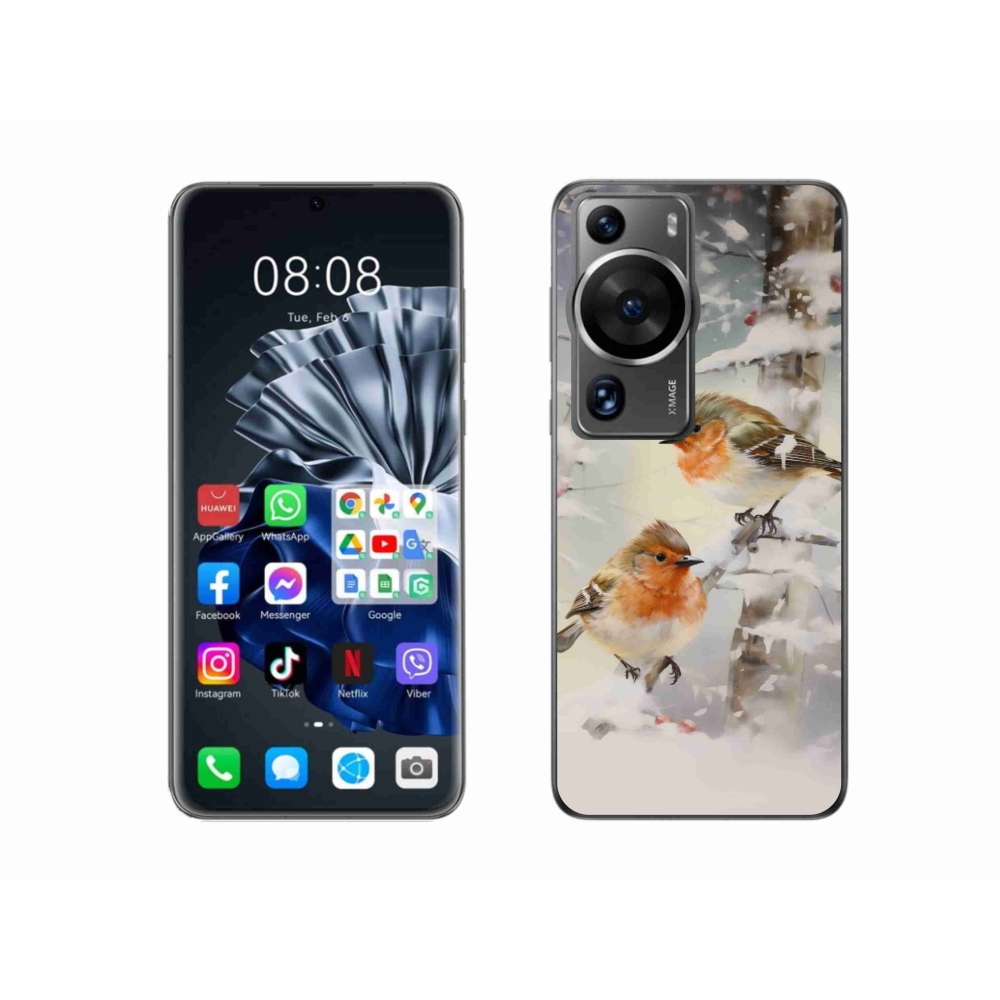Gelový kryt mmCase na Huawei P60 Pro - ptáčci v zimě