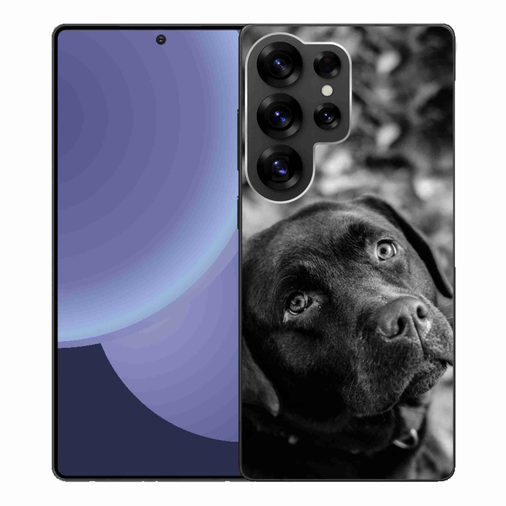 Gelový kryt mmCase na Samsung Galaxy S25 Ultra - labrador