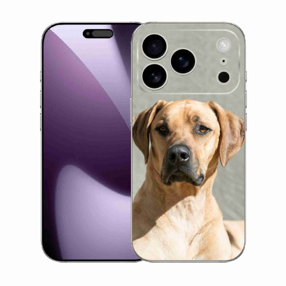 Gelový kryt mmCase na iPhone 17 Pro - ridgeback