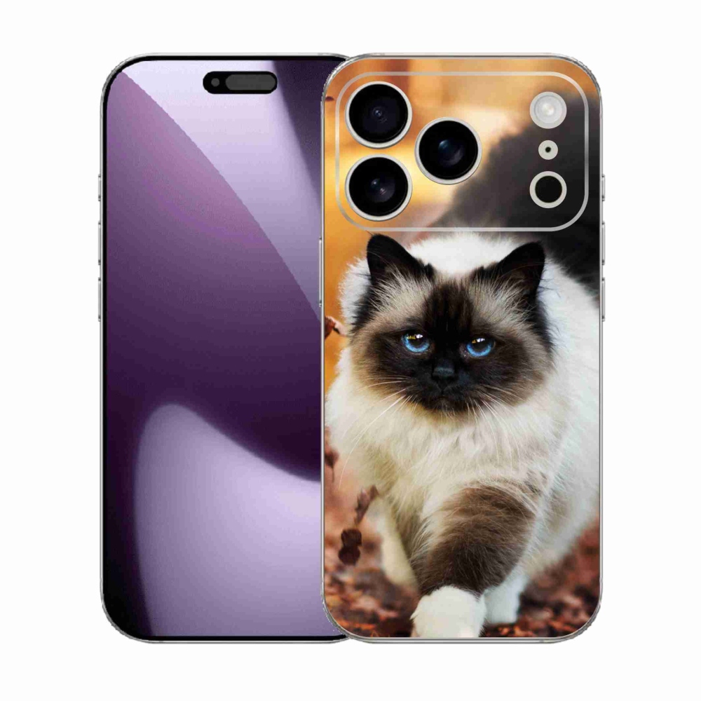Gelový kryt mmCase na iPhone 17 Pro - kočka