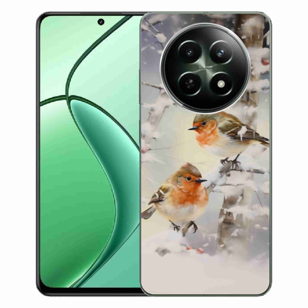 Gelový kryt mmCase na Realme 12 5G/12x 5G - ptáčci v zimě