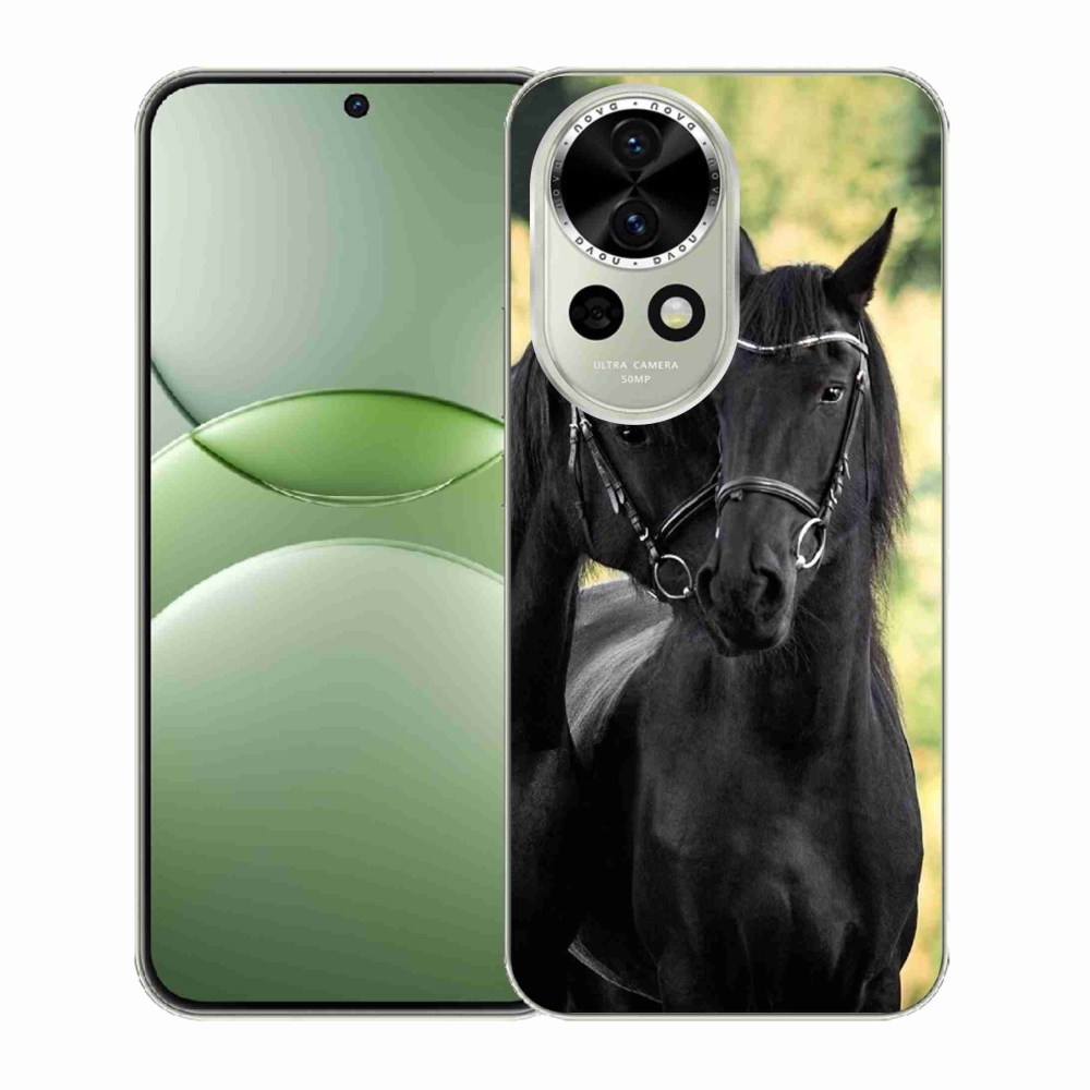 Gelový kryt mmCase na Huawei Nova 13 5G - dva černí koně