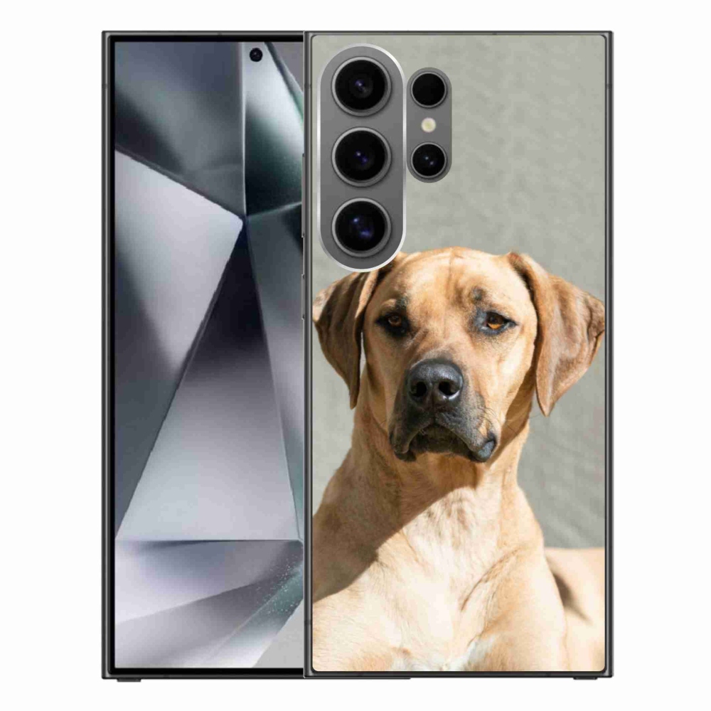 Gelový kryt mmCase na Samsung Galaxy S24 Ultra - ridgeback