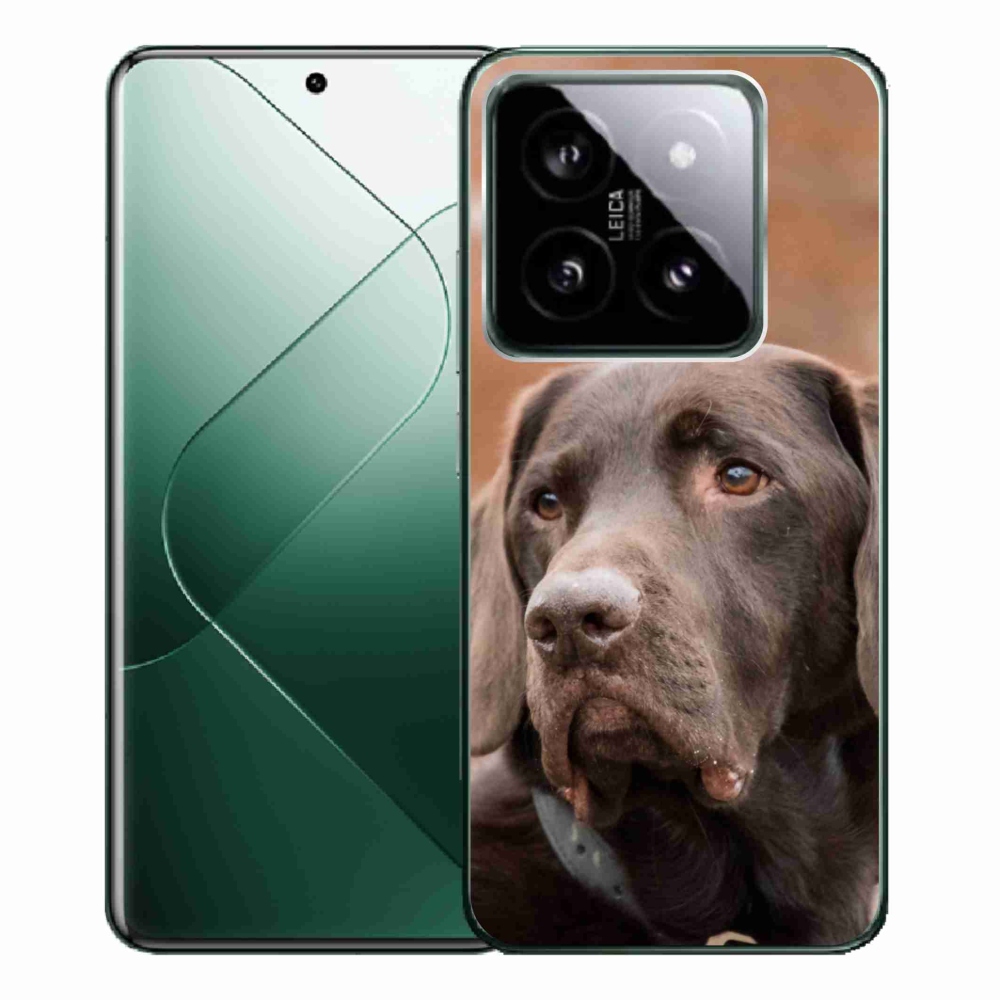 Gelový obal mmCase na Xiaomi 14 Pro - hnědý labrador