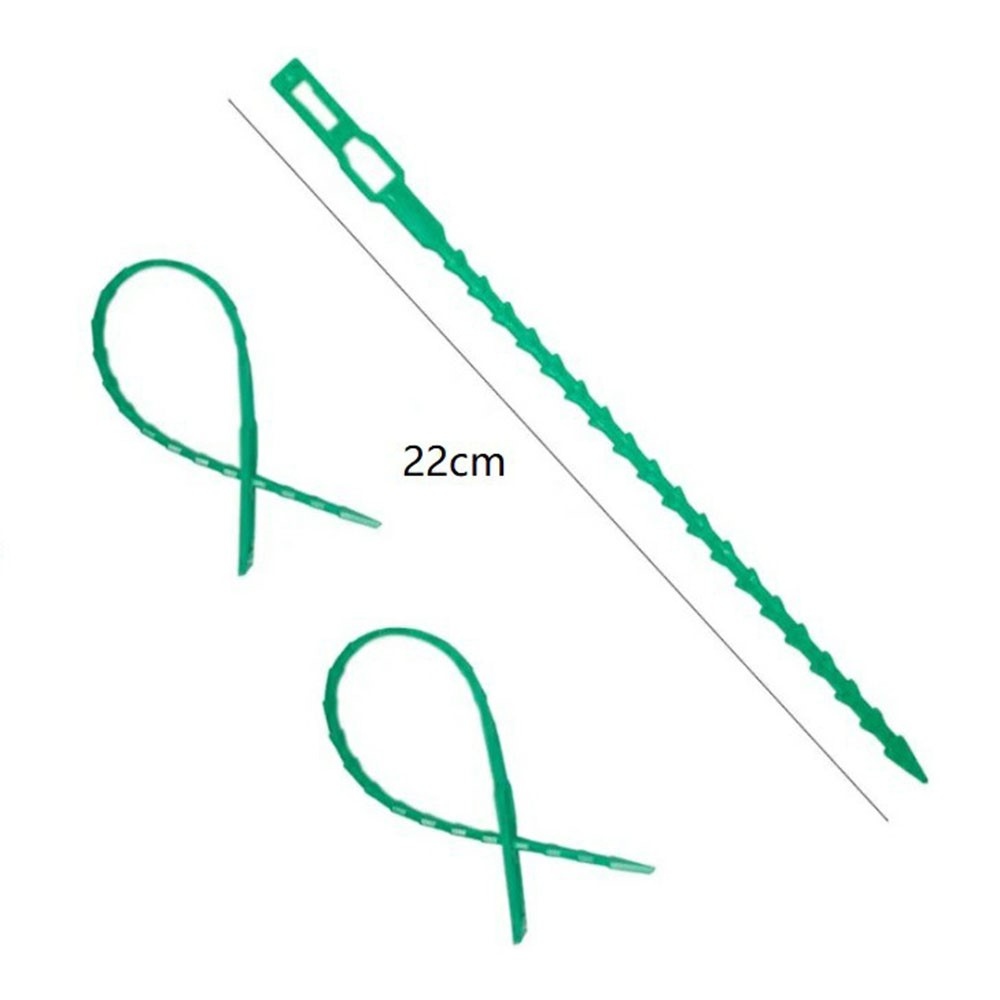 Zahradní fixační pásky na rostliny 22 cm (50ks) - zelené