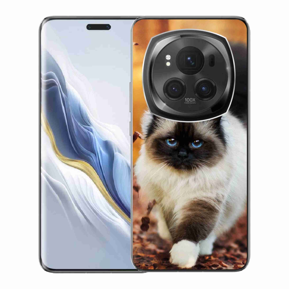 Gelový obal mmCase na Honor Magic 6 Pro 5G - kočka
