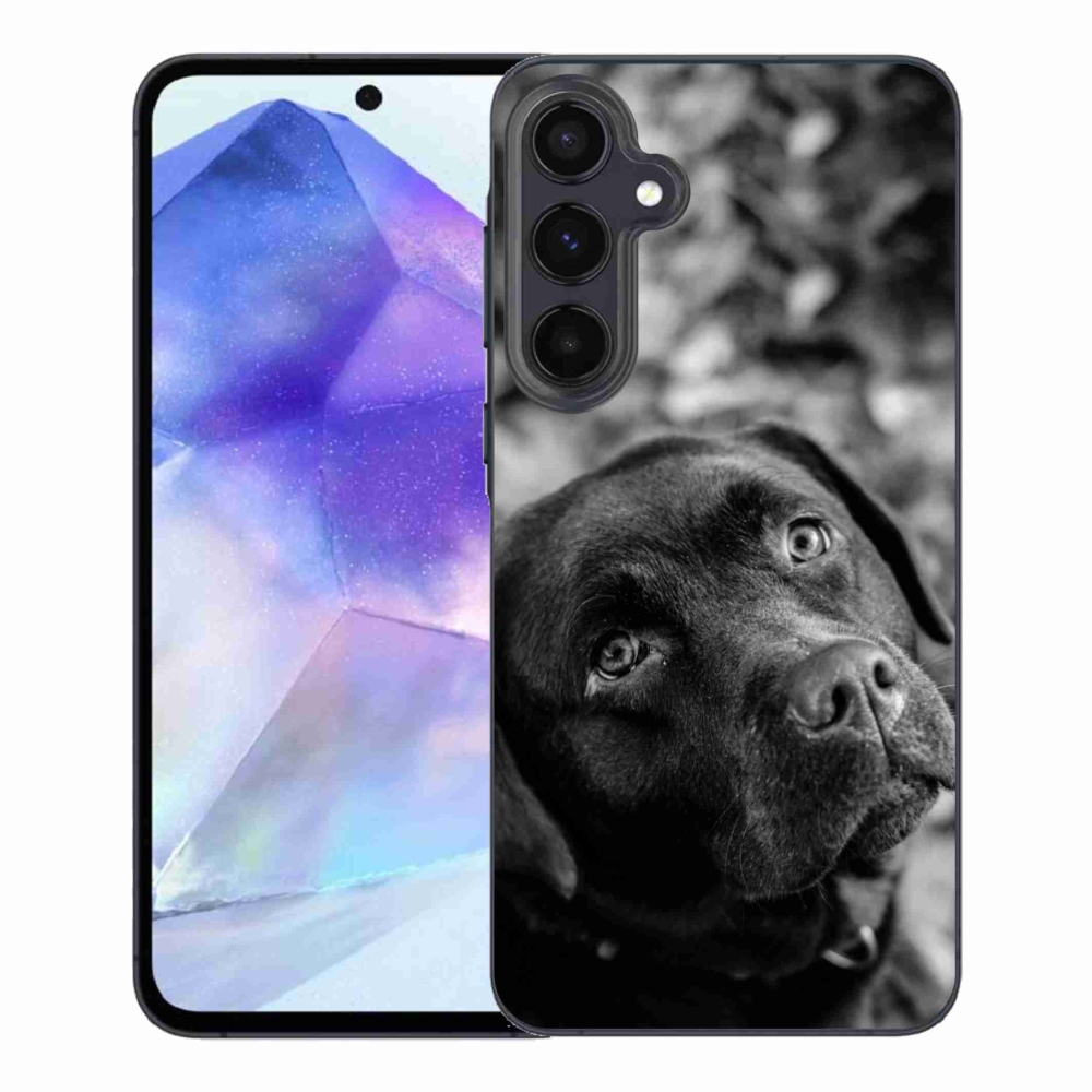 Gelový obal mmCase na Samsung Galaxy A55 5G - labrador