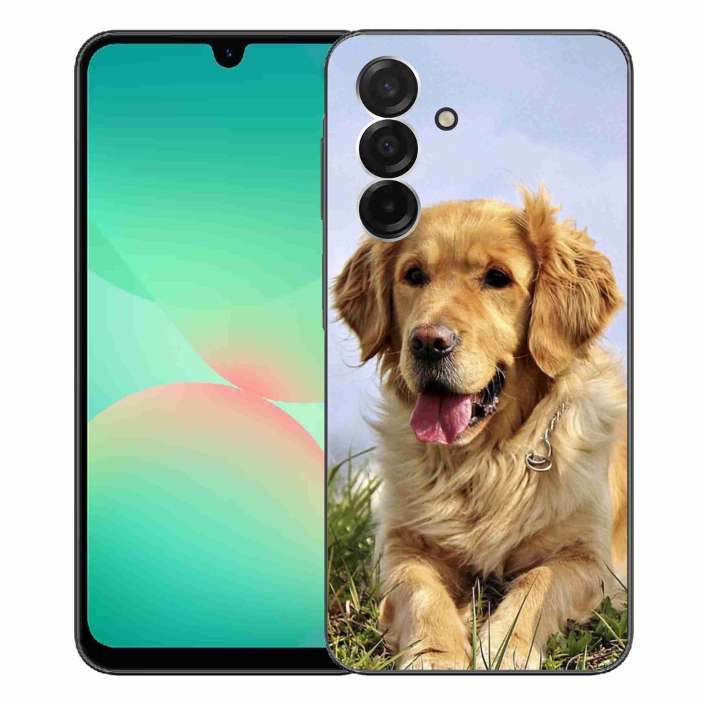 Gelový kryt mmCase na Samsung Galaxy A26 5G - zlatý retrívr