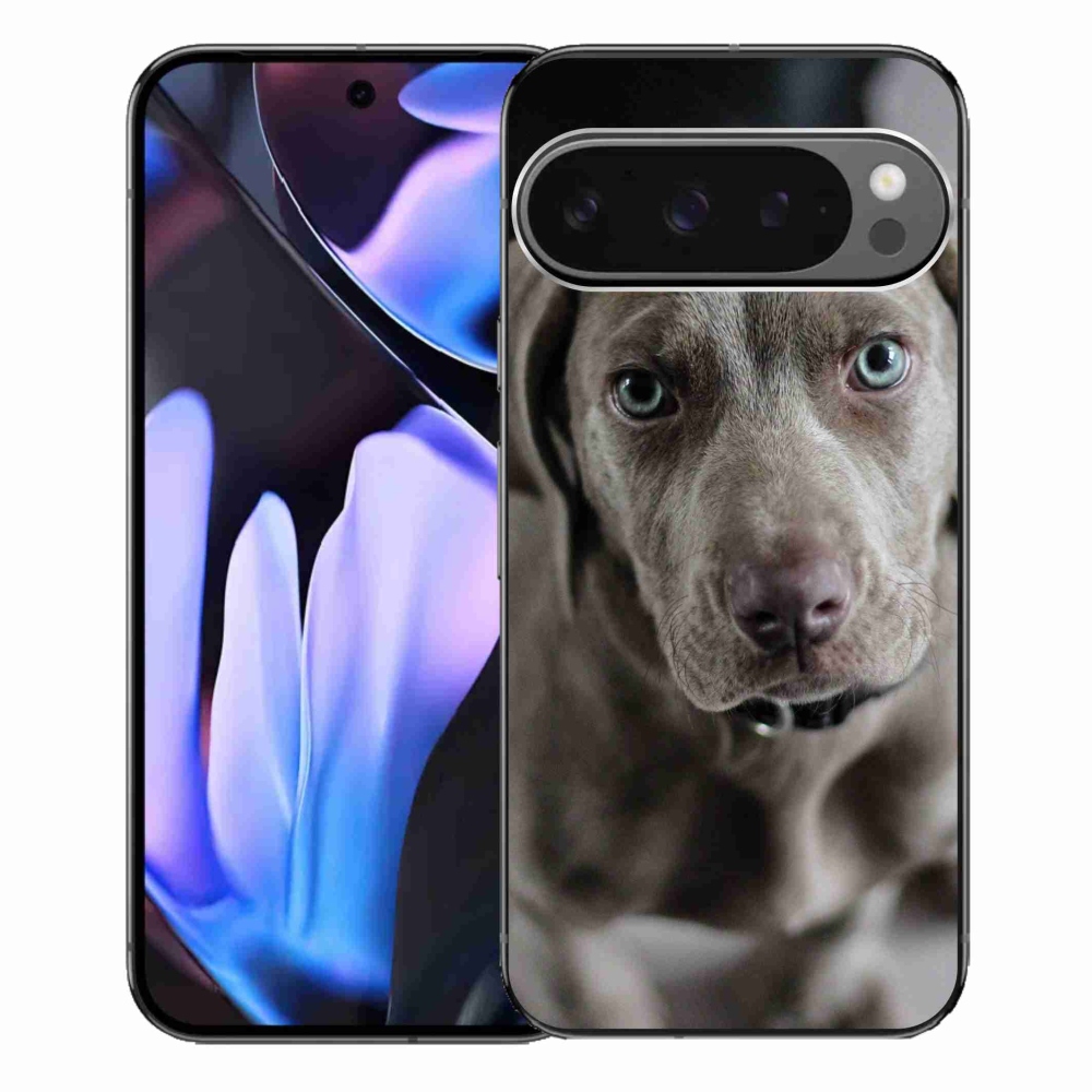 Gelový obal mmCase na Google Pixel 9 Pro XL - výmarský ohař