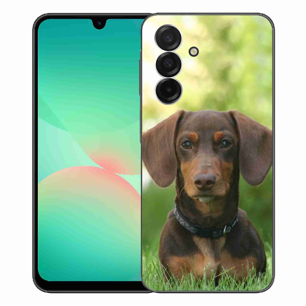 Gelový kryt mmCase na Samsung Galaxy A26 5G - hnědý jezevčík
