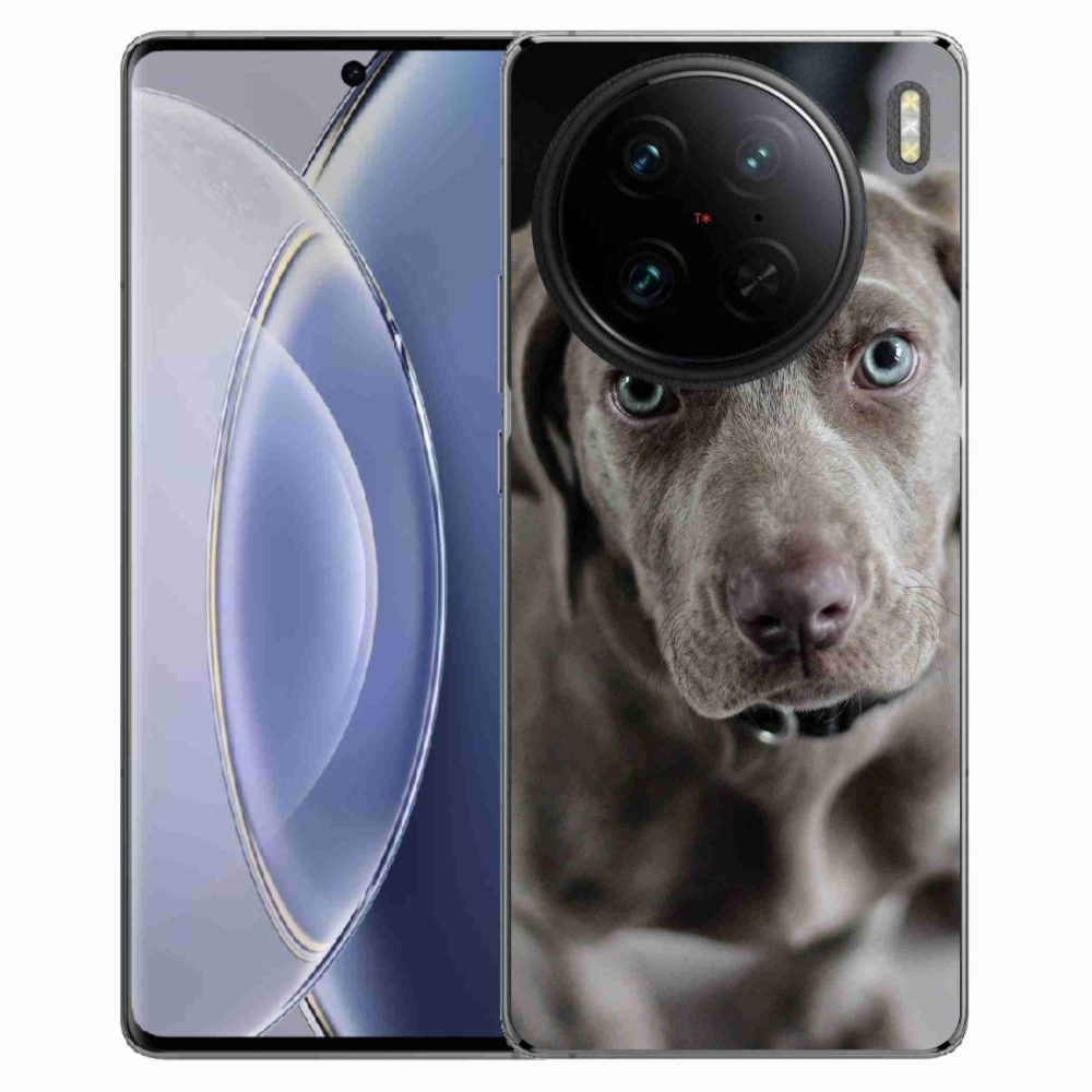 Gelový obal mmCase na Vivo X90 Pro - výmarský ohař