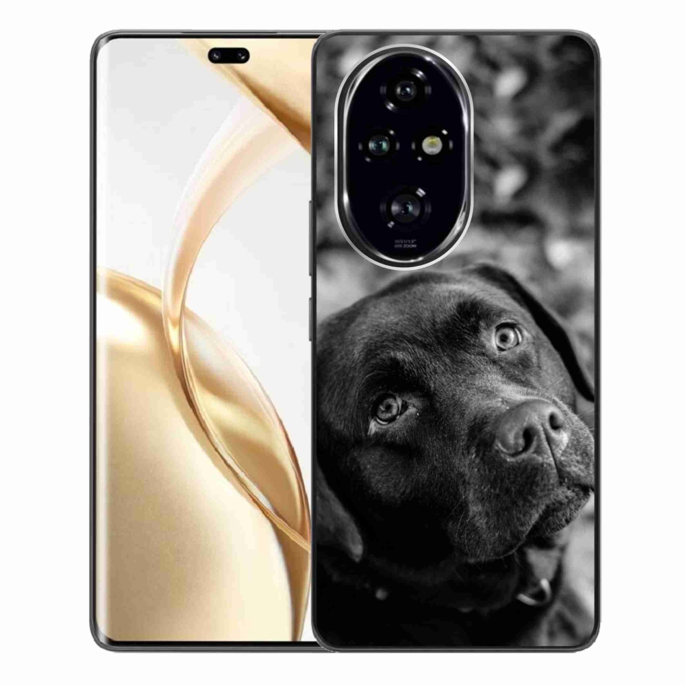 Gelový obal mmCase na Honor 200 Pro 5G - labrador