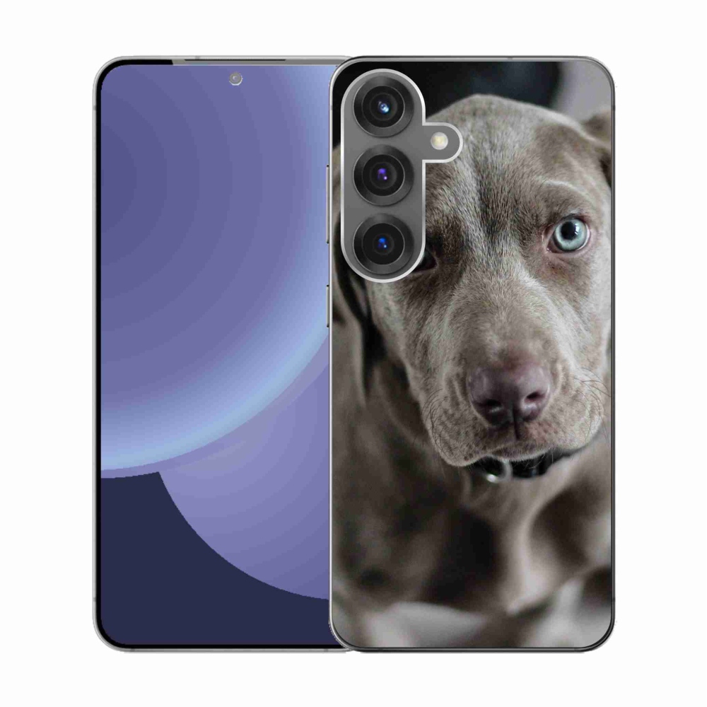 Gelový kryt mmCase na Samsung Galaxy S25 - výmarský ohař