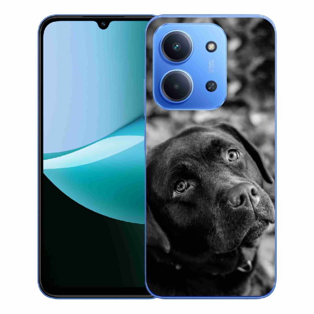 Gelový kryt mmCase na Xiaomi Redmi 15C 4G/5G (173mm) - labrador