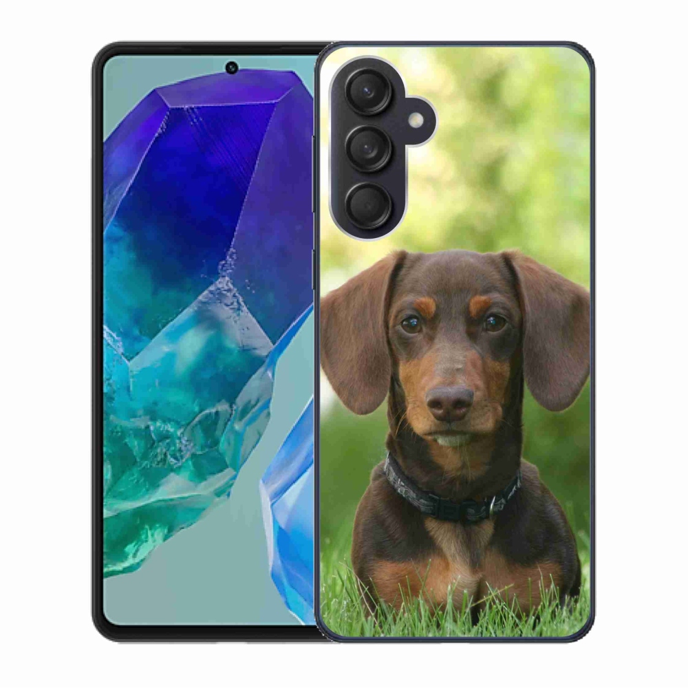 Gelový obal mmCase na Samsung Galaxy M55 5G - hnědý jezevčík