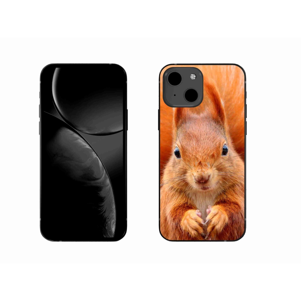 Gelový kryt mmCase na iPhone 13 6.1 - veverka