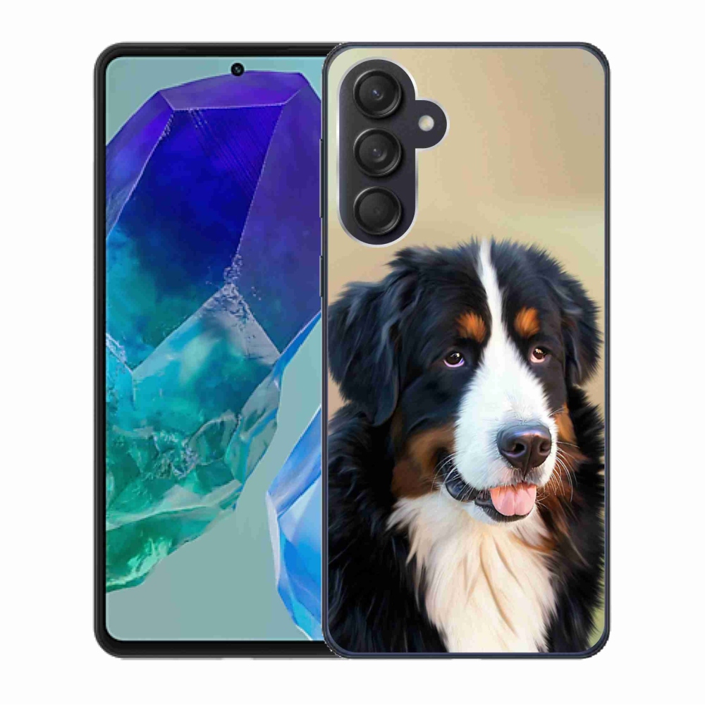 Gelový obal mmCase na Samsung Galaxy M55 5G - bernský salašnický pes