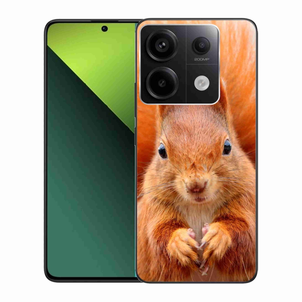 Gelový kryt mmCase na Xiaomi Redmi Note 13 Pro 5G/Poco X6 5G - veverka
