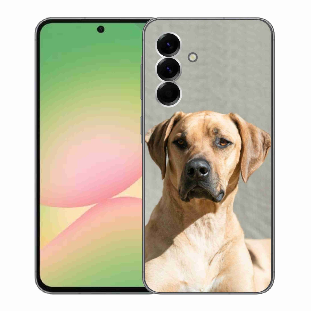 Gelový kryt mmCase na Samsung Galaxy A56 5G - ridgeback