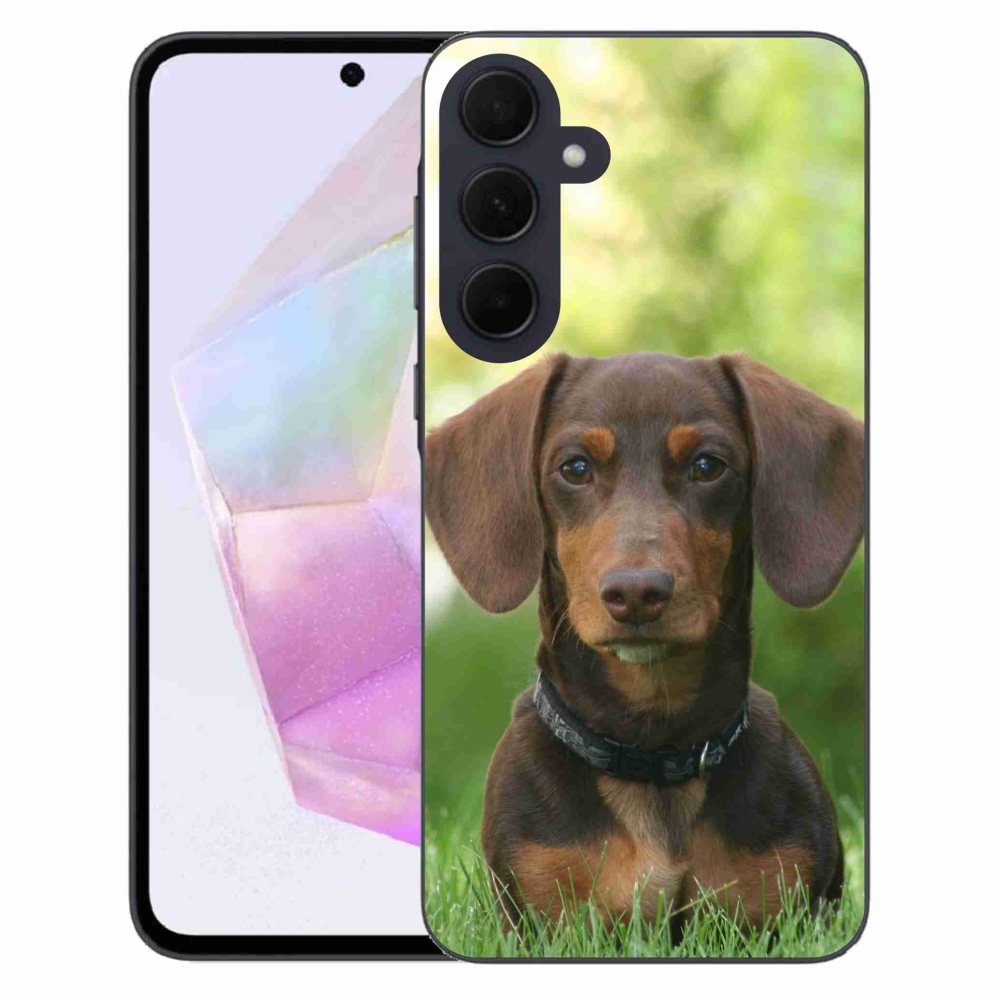Gelový obal mmCase na Samsung Galaxy A35 5G - hnědý jezevčík