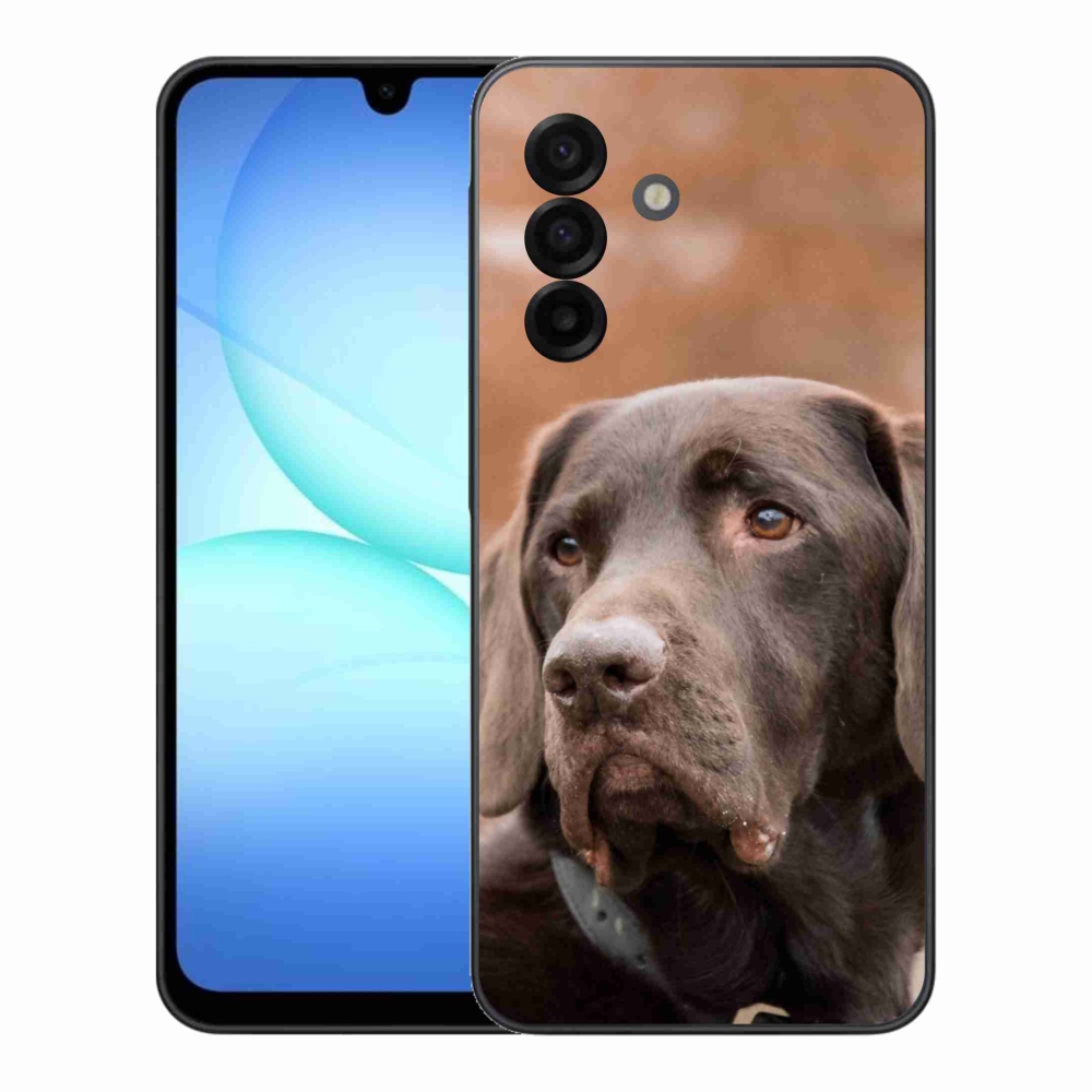 Gelový kryt mmCase na Samsung Galaxy A17 5G - hnědý labrador