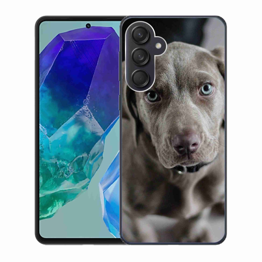 Gelový obal mmCase na Samsung Galaxy M55 5G - výmarský ohař