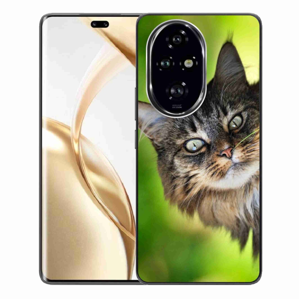 Gelový kryt mmCase na Honor 200 Pro 5G - kočka 3