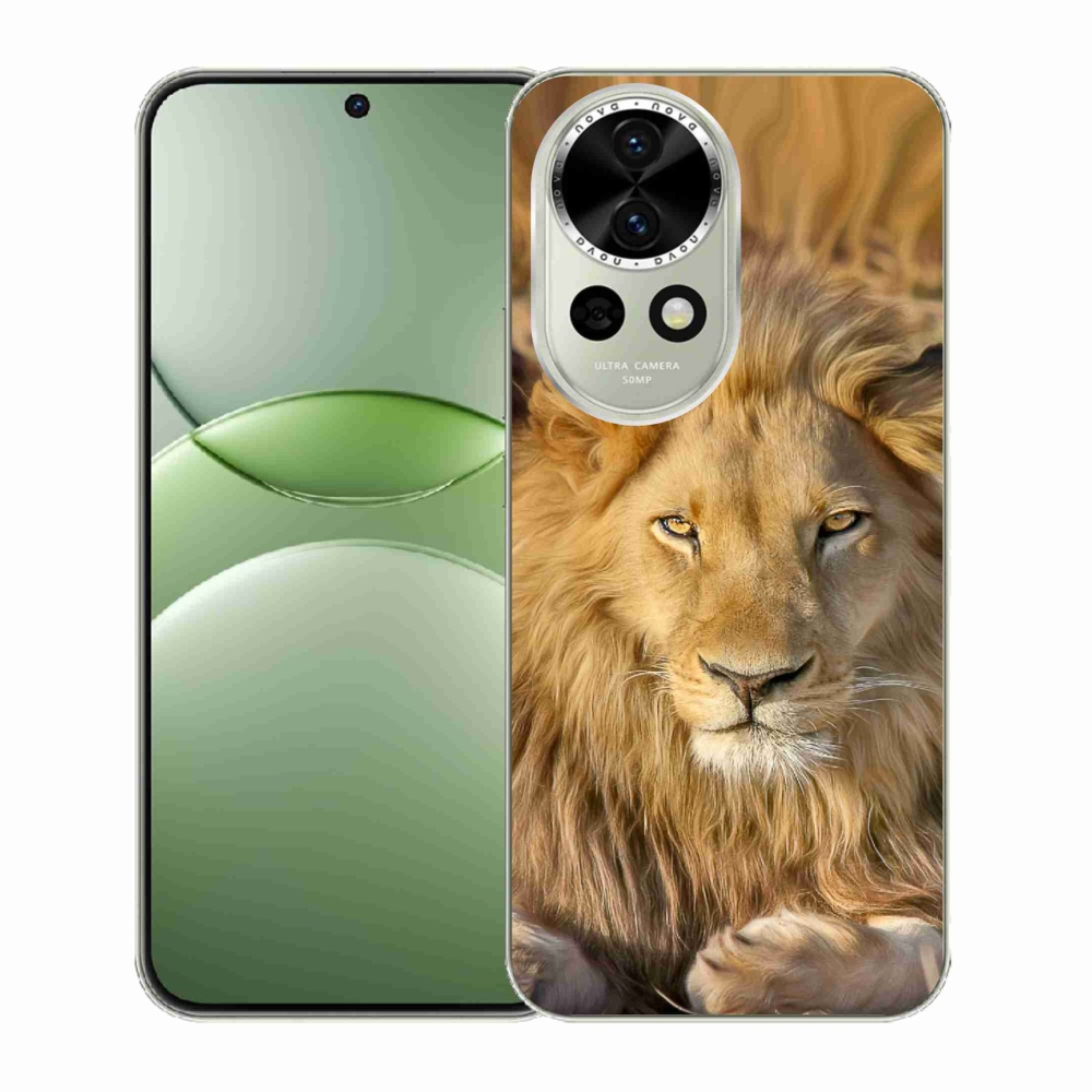 Gelový kryt mmCase na Huawei Nova 13 5G - lev 2