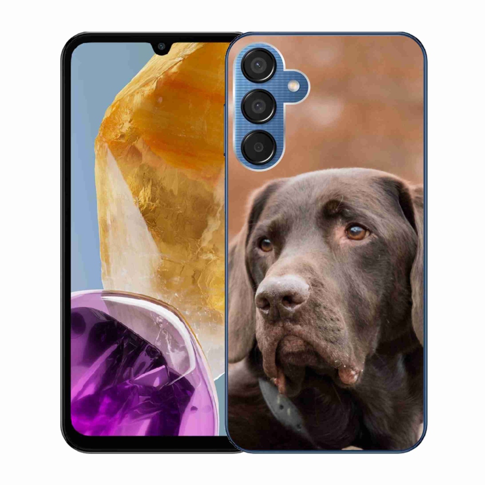 Gelový obal mmCase na Samsung Galaxy M15 5G - hnědý labrador