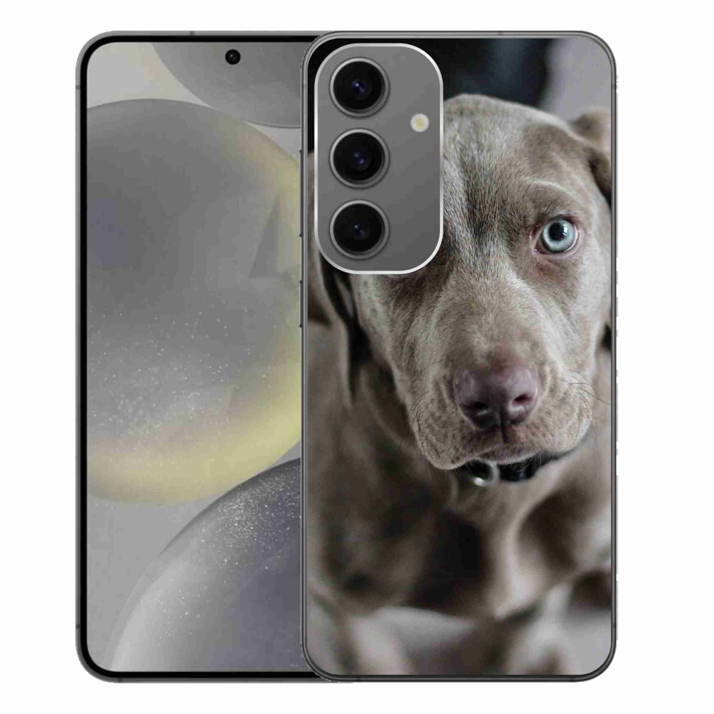 Gelový obal mmCase na Samsung Galaxy S24+ - výmarský ohař