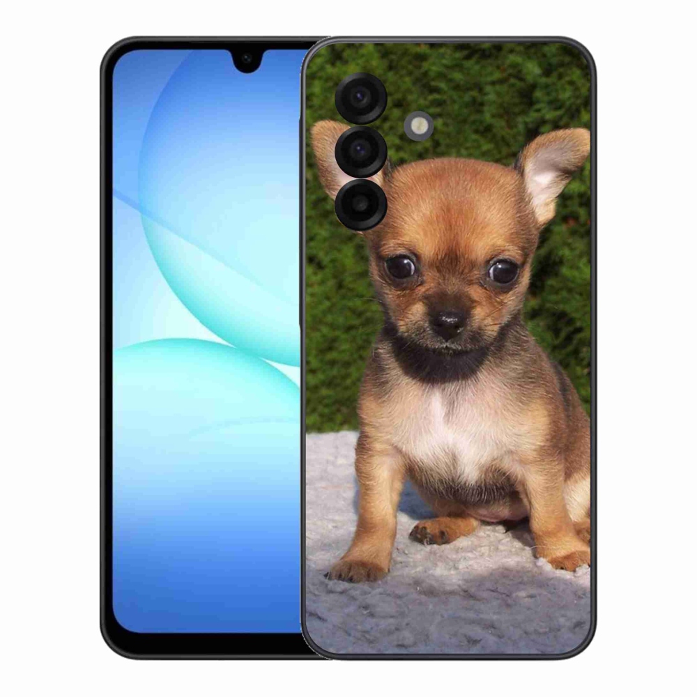 Gelový kryt mmCase na Samsung Galaxy A17 5G - čivava 3