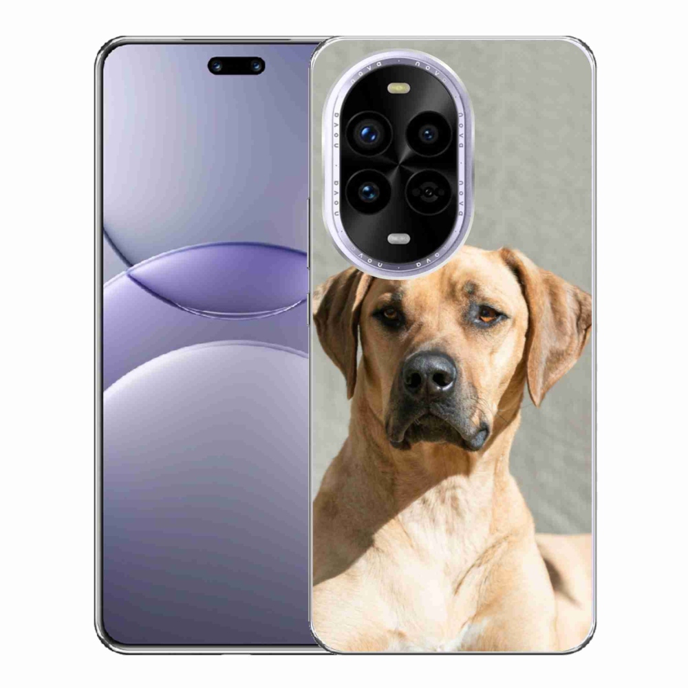Gelový kryt mmCase na Huawei Nova 13 Pro 5G - ridgeback