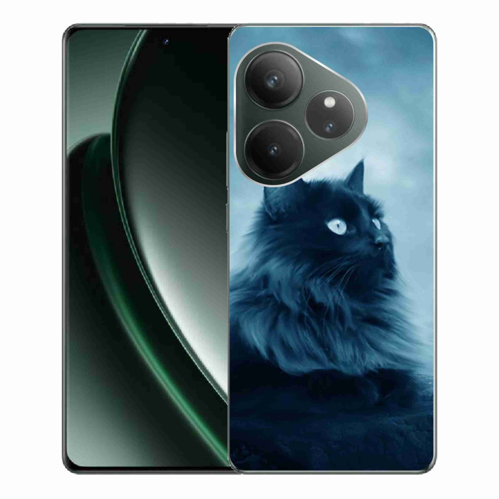 Gelový obal mmCase na Realme GT 6 5G/GT 6T 5G - černá kočka 1